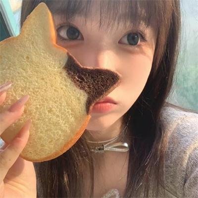 披荆斩棘之双宝大反攻